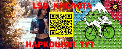 гашик Нарткала