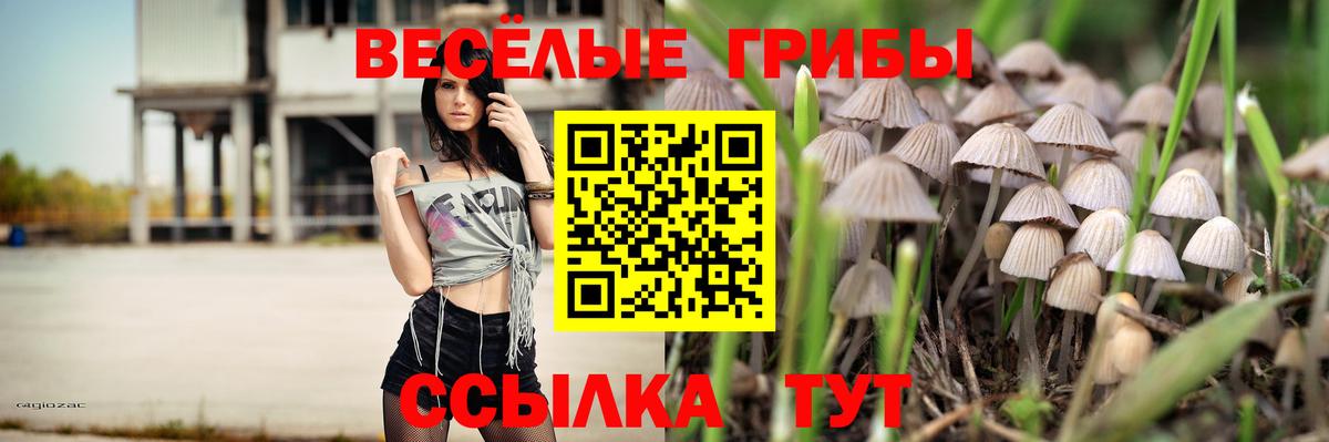 Псилоцибиновые грибы Magic Shrooms Чистополь